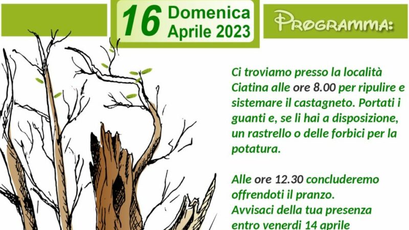 Domenica 16 aprile: Giornata ecologica al Castagneto di Carisolo