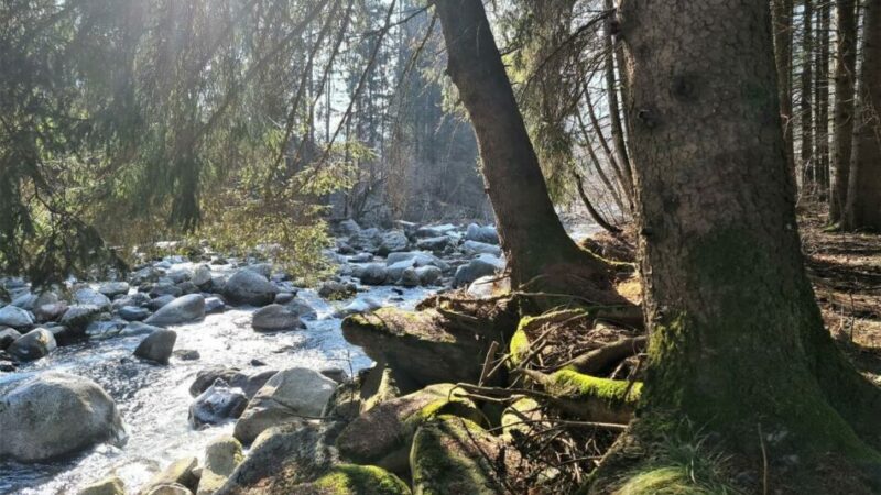 Parco Fluviale della Sarca: approvata la convenzione e il programma degli interventi 2023-2025