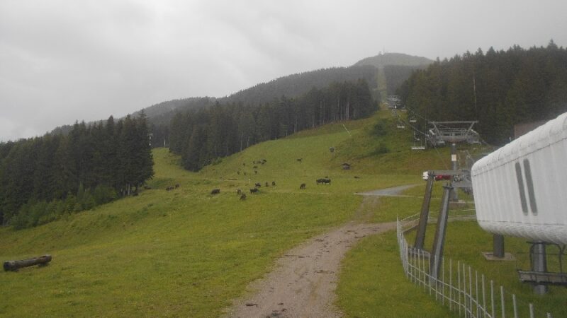 Divieto di transito sul tratto compreso tra Loc. Valaston e Loc. Prà Rodont dal giorno 11 aprile 2023 fino a cessate esigenze