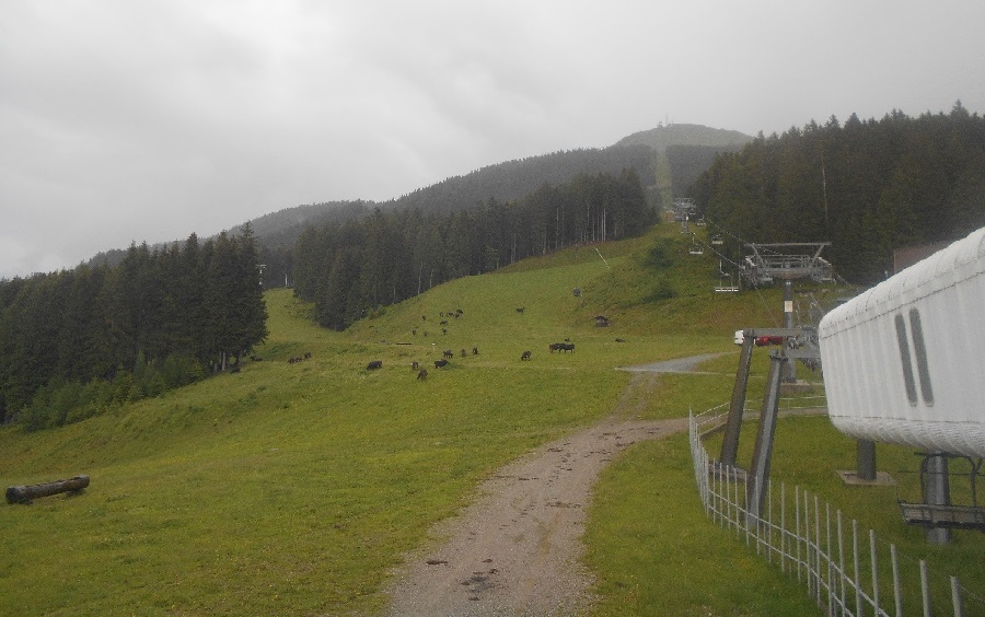 Divieto di transito sul tratto compreso tra Loc. Valaston e Loc. Prà Rodont dal giorno 11 aprile 2023 fino a cessate esigenze