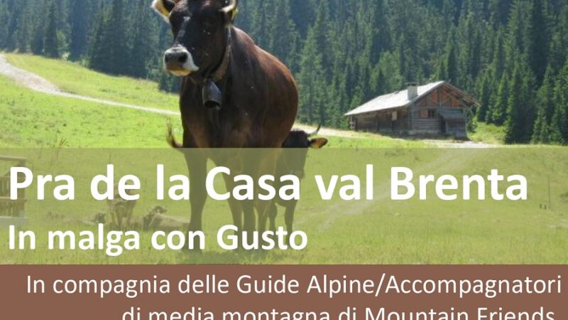 “Giovenche di razza Rendena. Sfilata e… dintorni” – 3 settembre 2023 “In malga con gusto”