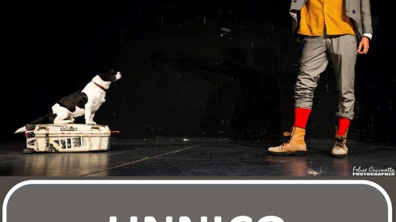 L’Estate è Pinzolo Domenica 6 agosto ore 21.15 – Spettacolo a 4 zampe in piazza Carera