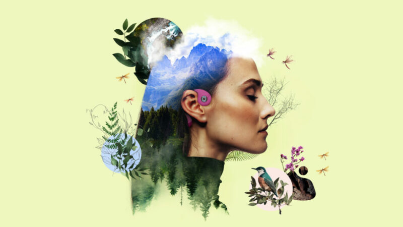 DOMENICA 9 LUGLIO, A MADONNA DI CAMPIGLIO, SI PRESENTA OPEN LAND