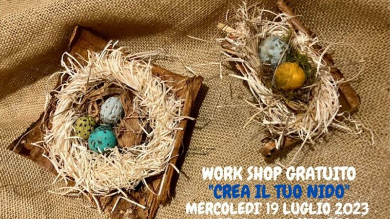 Massimeno Mercoledì 19 luglio – “Crea il tuo nido” Work shop gratuito
