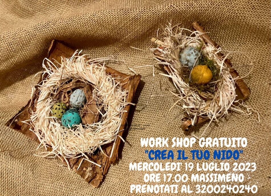 Massimeno Mercoledì 19 luglio – “Crea il tuo nido” Work shop gratuito