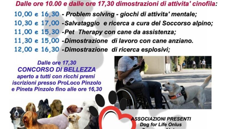 Domenica 6 agosto dalle 10 alle 17.30 alla Pineta: Dimostrazioni di attività cinofila