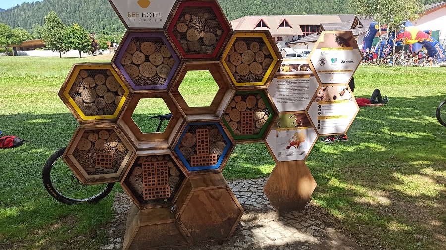 Beehotel di Pinzolo