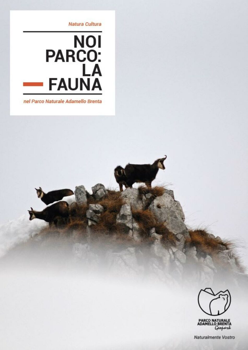 Carisolo 8 agosto – A “I martedì del Parco” il progetto Biomiti e il libro “Noi Parco: la fauna”