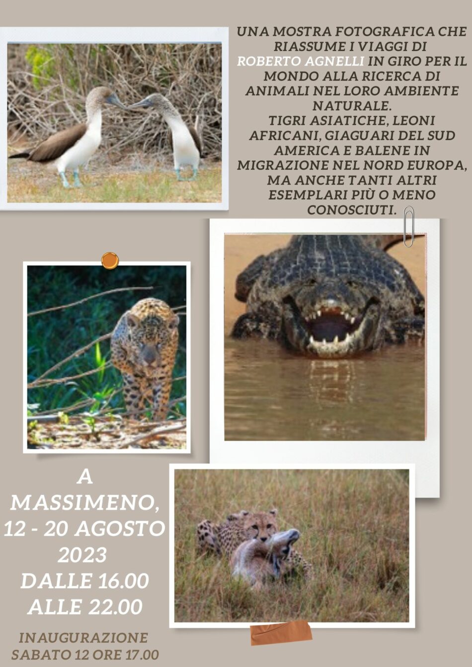 Da domani mostra fotografica a MASSIMENO… non solo animali di montagna… ore 17 inaugurazione