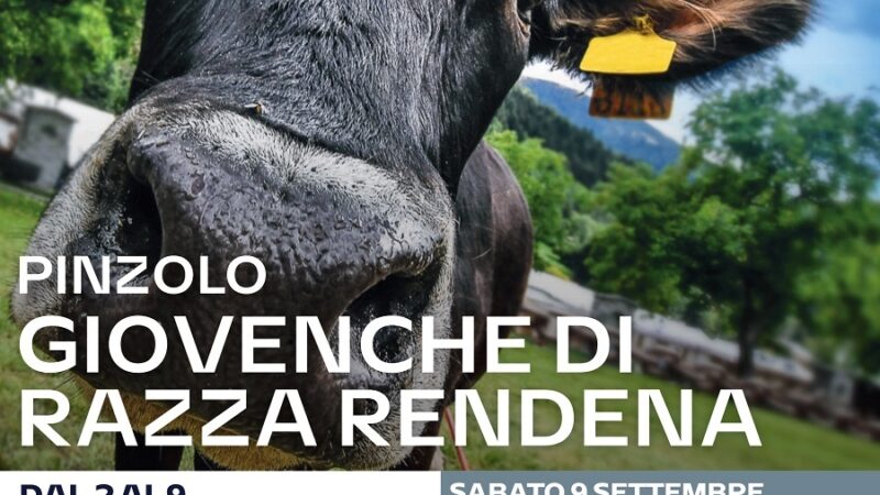 Pinzolo dal 2 al 9 settembre “Giovenche di razza Rendena. Sfilata e… dintorni”