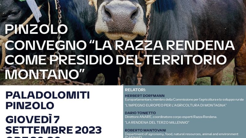 Pinzolo: Cresce l’attesa per il Convegno sulla razza Rendena – Giovedì 7 settembre ore 20.30 al Paladolomiti