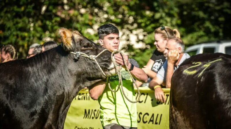 L’entusiasmo dei giovani il vero punto di forza di “Giovenche di razza Rendena”