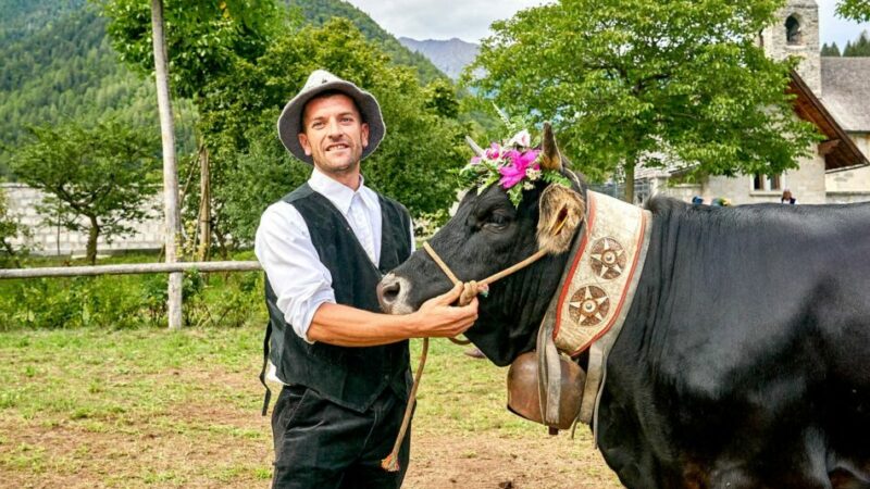 Un convegno dedicato alla regina dei pascoli della Val Rendena: “La razza Rendena come presidio del territorio montano”