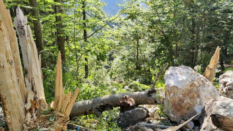 Campiglio – Assoluto divieto di transito carrabile e pedonale viabilità e sentieristica Vallesinella