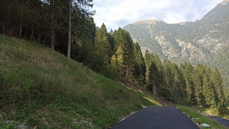 Pinzolo-Carisolo – Quasi pronta la pista da skiroll Frassanida