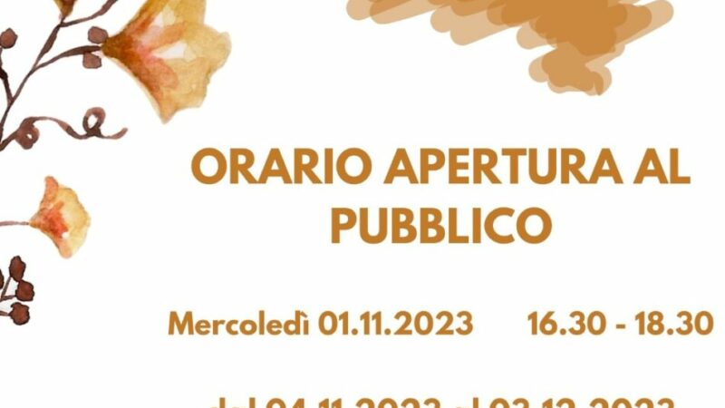 Orari di apertura dello stadio del ghiaccio nel ponte dei Santi