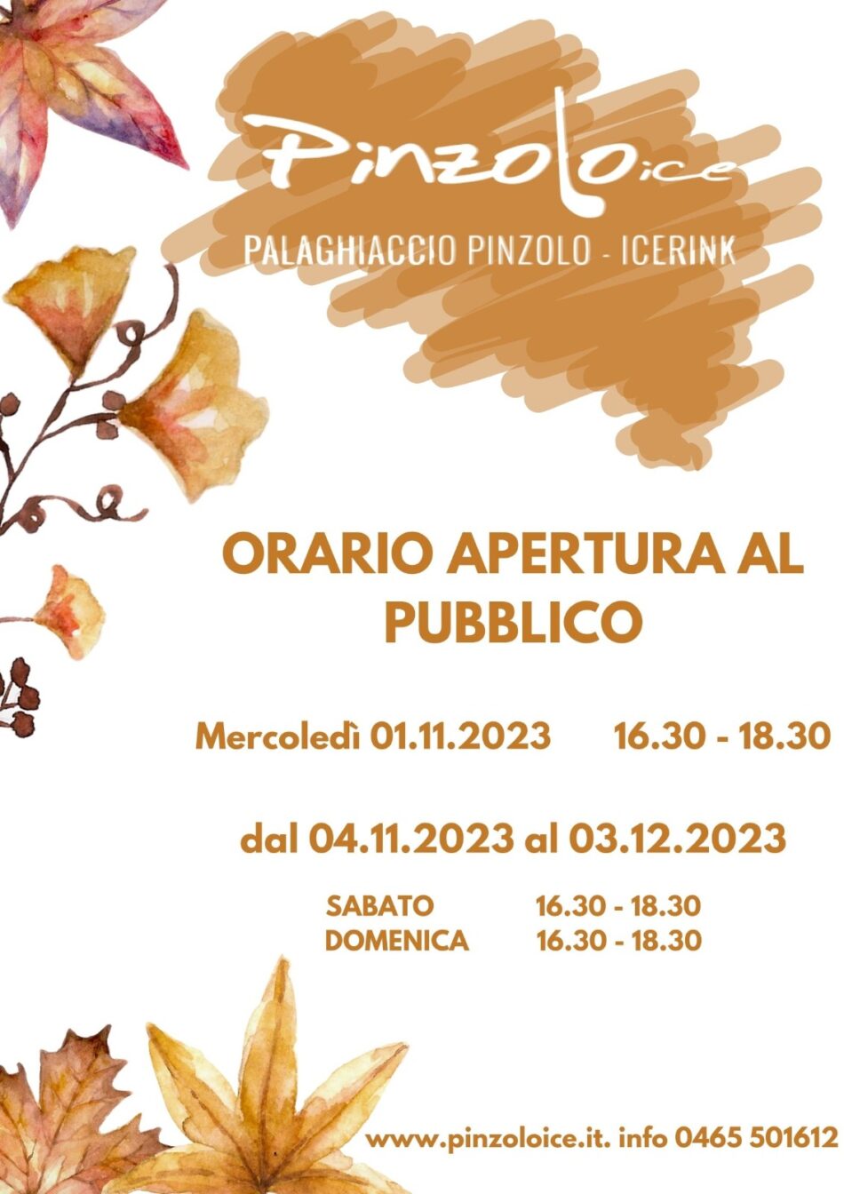 Orari di apertura dello stadio del ghiaccio nel ponte dei Santi