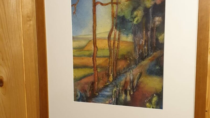 L’ARTE COME TERAPIA ALLA APSP SAN VIGILIO DI SPIAZZO CON LE OPERE DI FRANCA CHESI SCHMID