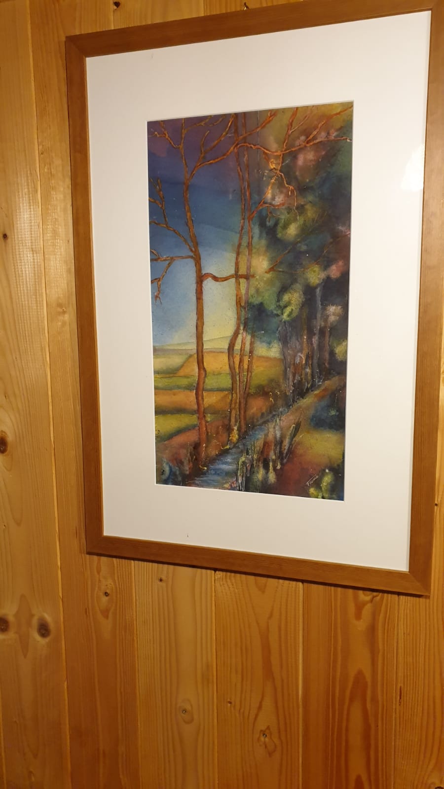 L’ARTE COME TERAPIA ALLA APSP SAN VIGILIO DI SPIAZZO CON LE OPERE DI FRANCA CHESI SCHMID