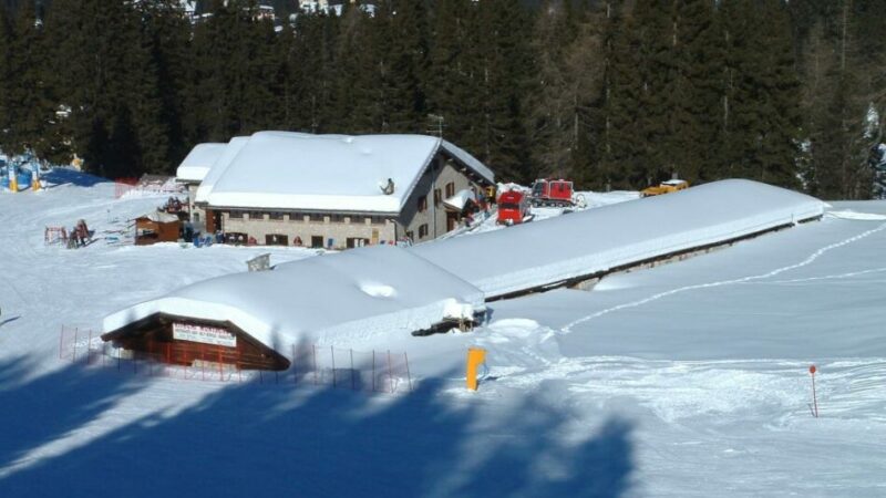 Avviso di chiusura al transito veicolare di alcune strade forestali