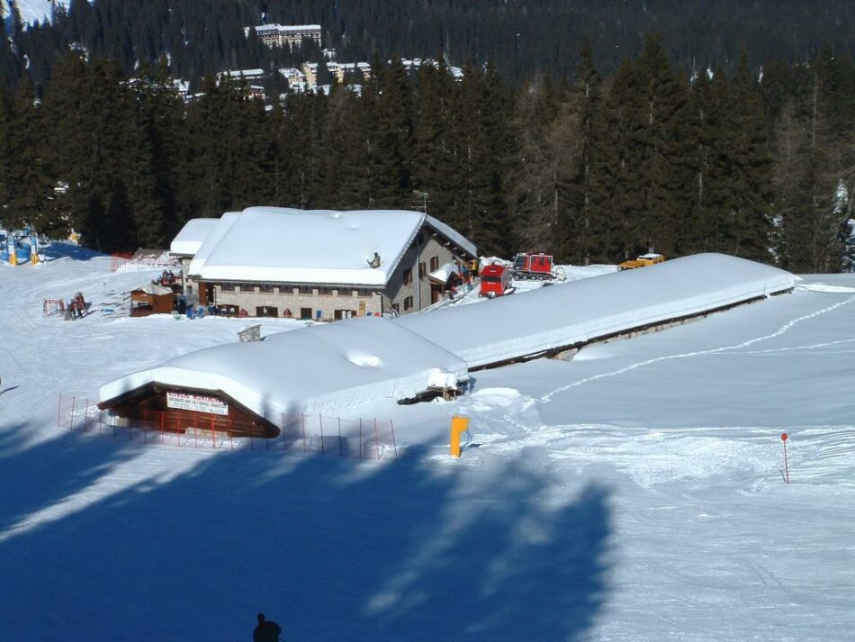 Avviso di chiusura al transito veicolare di alcune strade forestali