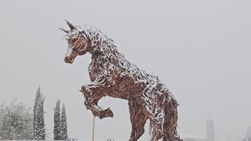 Ecco “L’Haflinger di Strembo”