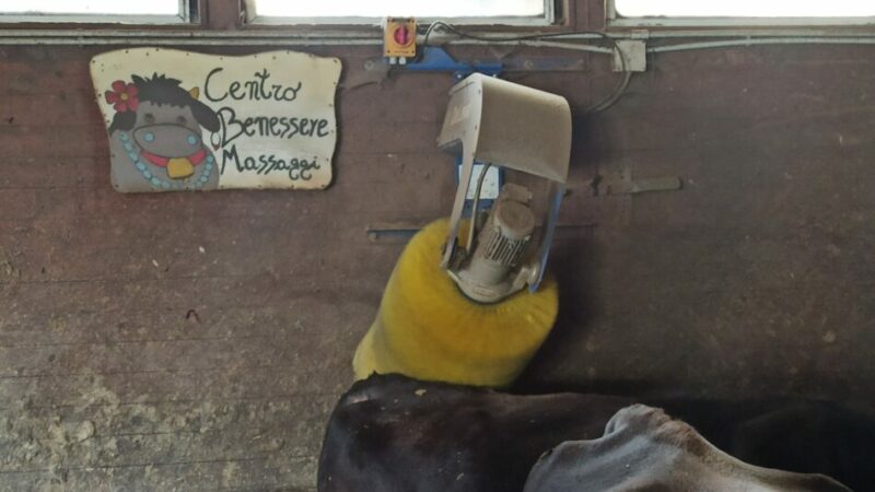 Un centro benessere esclusivo in Val Rendena