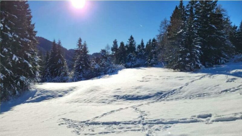 Gennaio 2024 più caldo e più piovoso della media