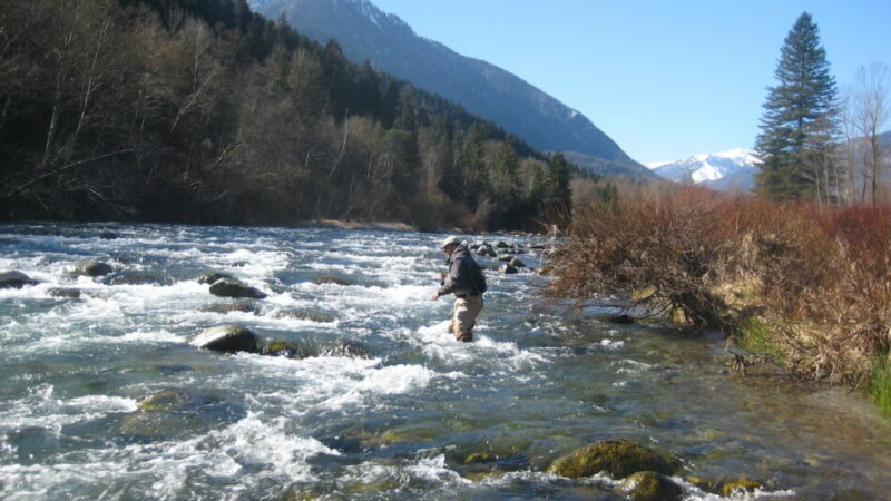 Al via la stagione di pesca nelle acque dell’Alto Sarca e dell’Alto Chiese