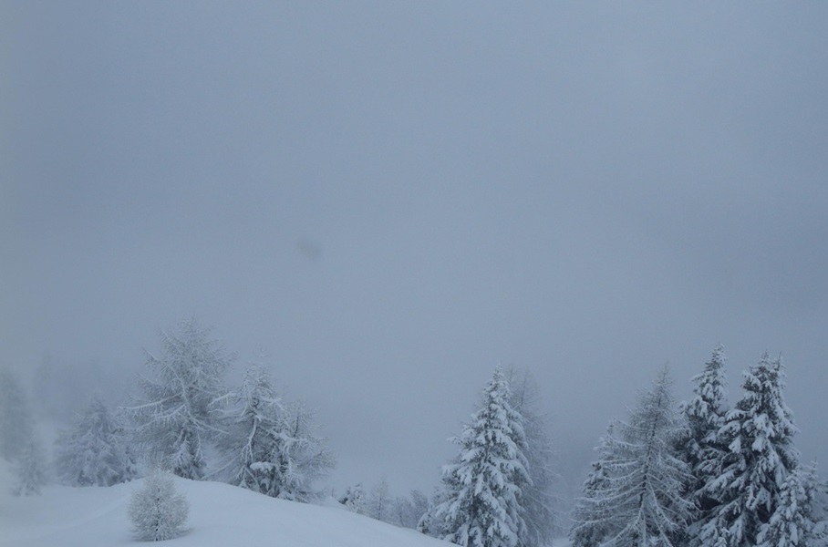 Per la forte nevicata, stasera rimane chiuso il tracciato di sci alpinismo in notturna verso il rifugio Viviani Pradalago