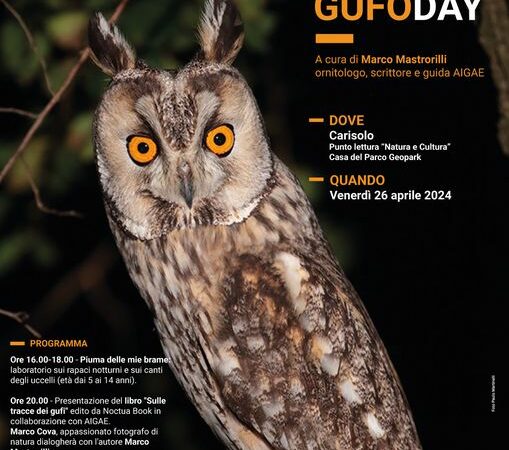 Carisolo Venerdì 26 aprile “Gufo Day”