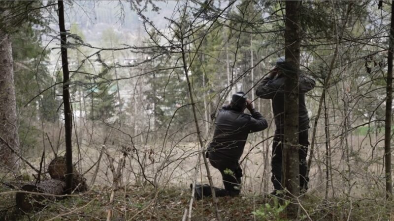 Orsi, il governo non impugna la legge trentina