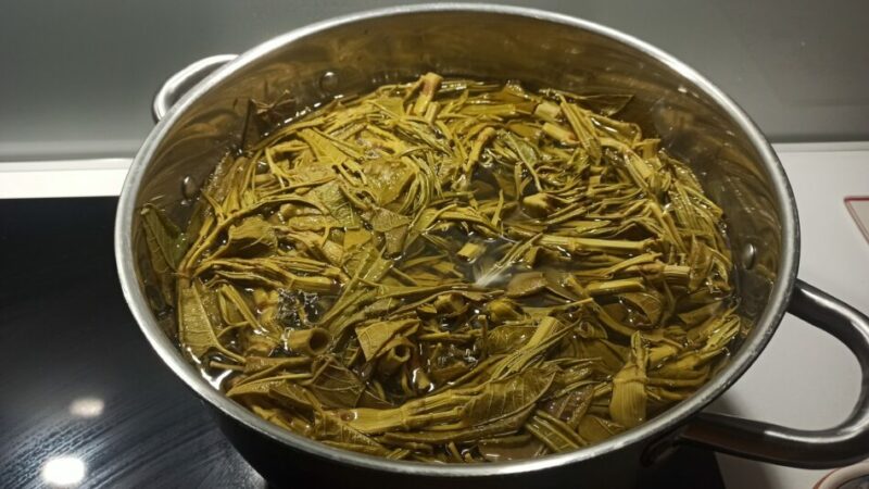 Da danno a risorsa? Il poligono del Giappone come il granchio blu?