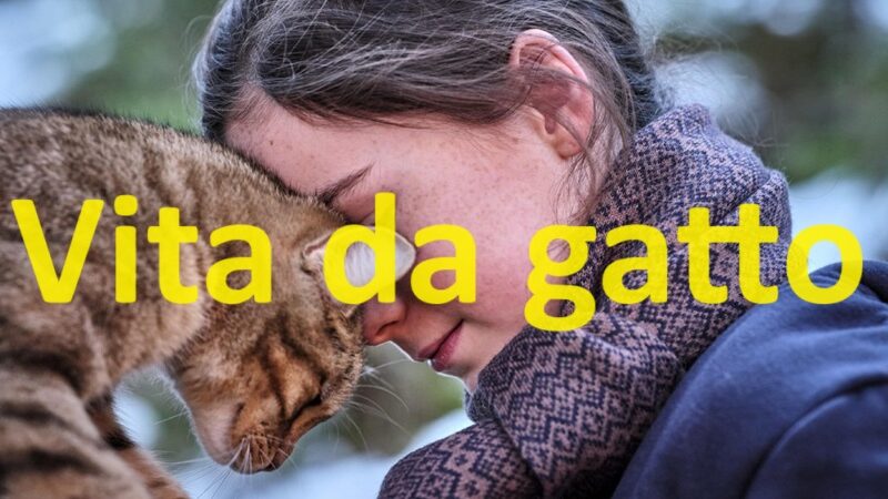 Cinema a Pinzolo – “Vita da gatto” Sabato 25 maggio ore 17.30