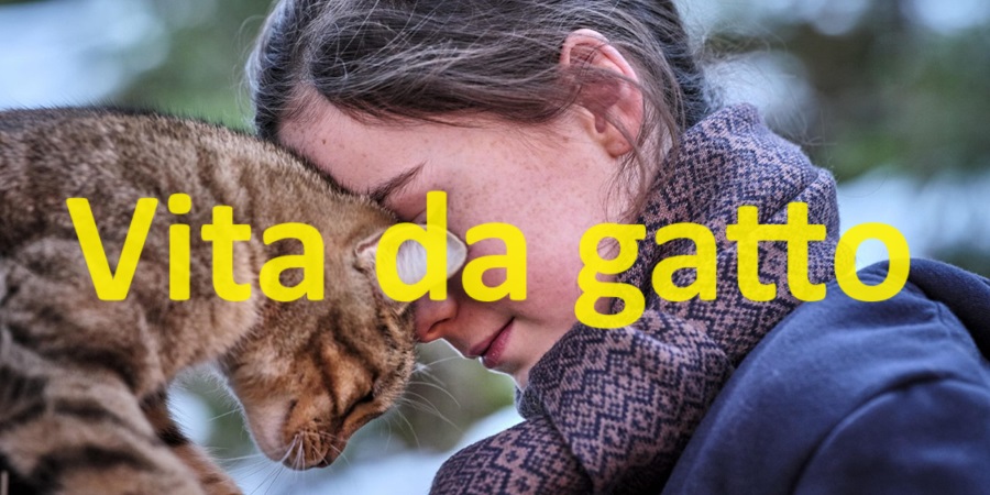 Cinema a Pinzolo – “Vita da gatto” Sabato 25 maggio ore 17.30