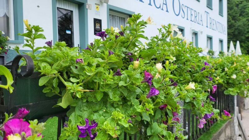 Ha aperto il nuovo Chalet Val Genova – Tipica Osteria Trentina