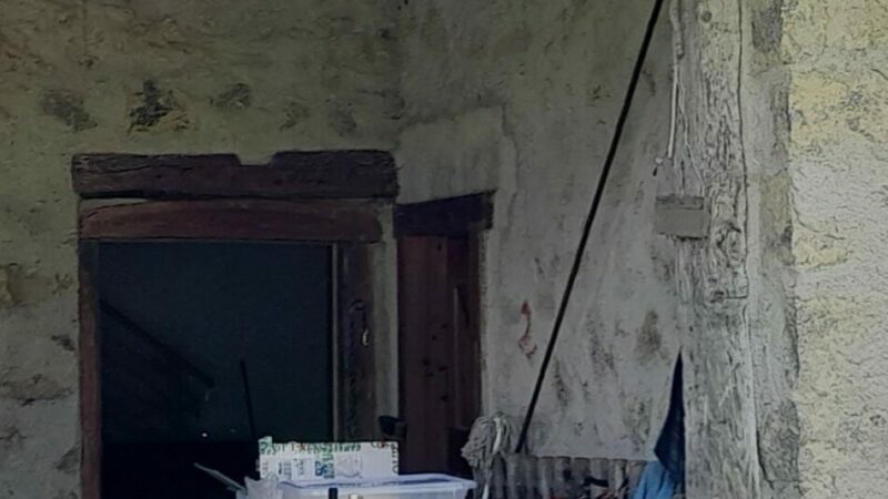 La malga Barusela a Pelugo