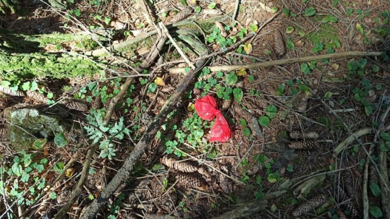 Appello agli incivili e ignoranti che…