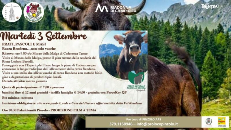 Giovenche di razza Rendena – Martedì 3 settembre “Prati, Pascoli e Masi”