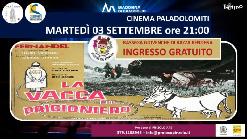 Giovenche di razza Rendena – Martedì 3 settembre ore 21 “la vacca e il prigioniero” al Paladolomiti INGRESSO GRATUITO