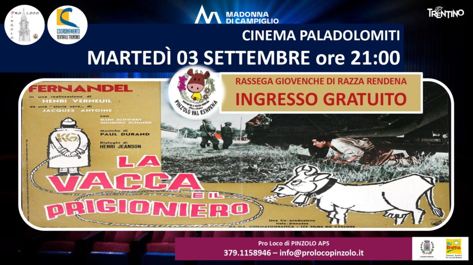 Giovenche di razza Rendena – Martedì 3 settembre ore 21 “la vacca e il prigioniero” al Paladolomiti INGRESSO GRATUITO