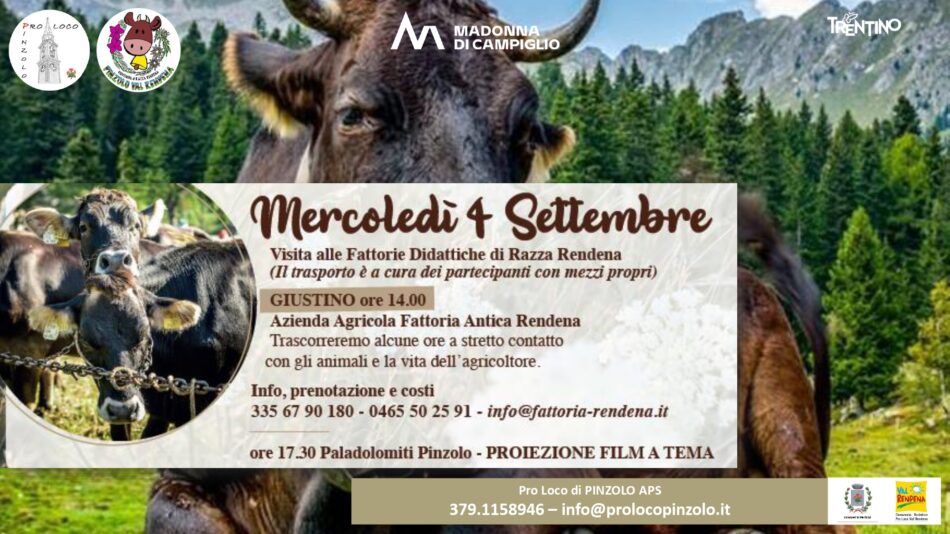Giovenche di razza Rendena – Mercoledì 4 settembre “Visita alle Fattorie didattiche di Razza Rendena”