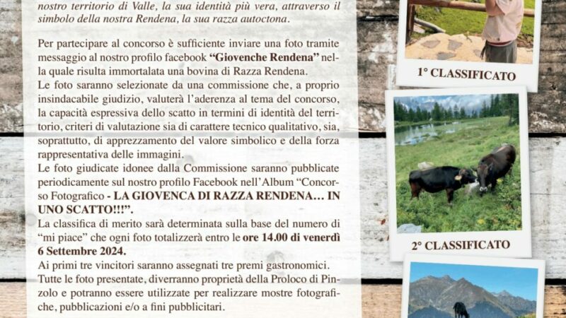 Concorso fotografico “La Giovenca di Razza Rendena…in uno scatto!”