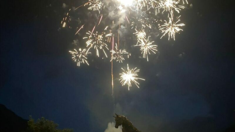 Il bel tempo “bacia” una edizione da record della Rassegna Cavalli Haflinger e Noriker a Strembo