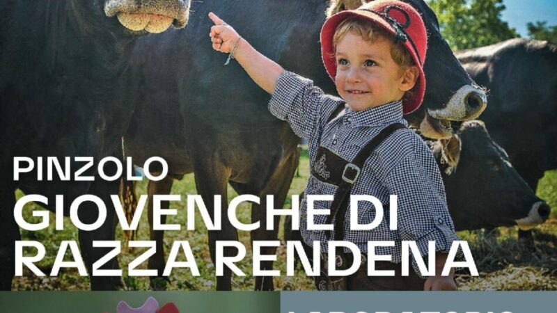 Pinzolo Lunedì 2 settembre ore 16 “Laboratorio creativo per bambini” Giovenche di razza Rendena