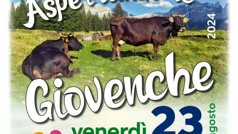 Giustino Venerdì 23 agosto: Spiedo, hamburger e patatine “Aspettando le Giovenche 2024”