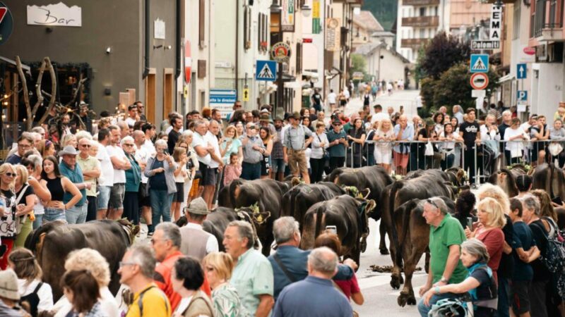 Gli allevatori celebrano il ritorno dagli alpeggi. Festa ma anche attenzione e confronto sulle problematiche della zootecnia di montagna