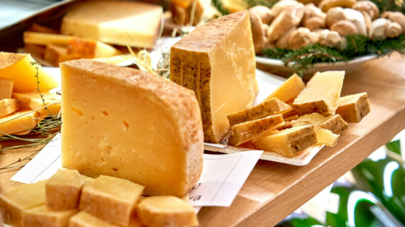 Giovenche di razza Rendena, giovedì concorso formaggi e convegno, sabato sfilata