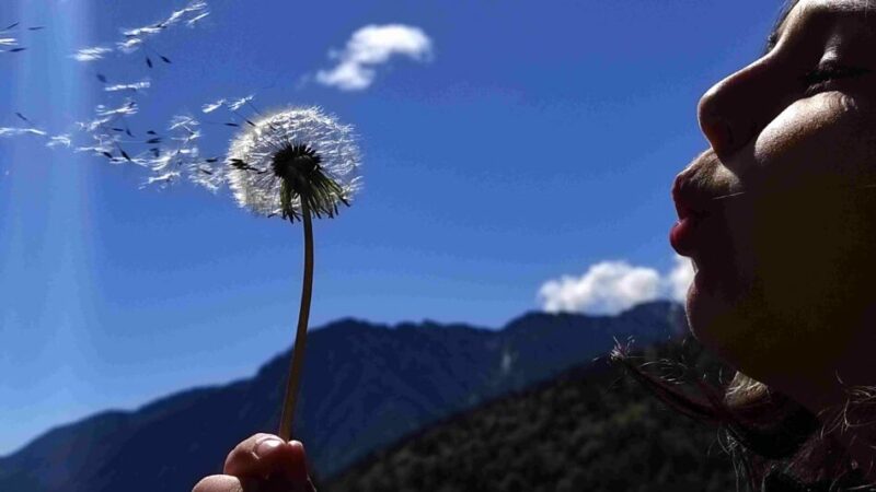 BORGO LARES – UN CORSO PER CHI VUOLE IMPARARE I SEGRETI DELLA «FOTOGRAFIA»