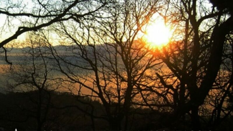 Spiazzo Giovedì 21 novembre ore 20.30 “A te convien tenere altro viaggio” Conversazione con il prof. Gregorio Vivaldelli